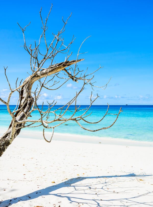 Beautiful tropical beach